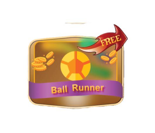 ball runner